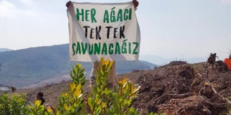 Cudi Yürüyüşü’ne bir çağrı da İstanbul’dan