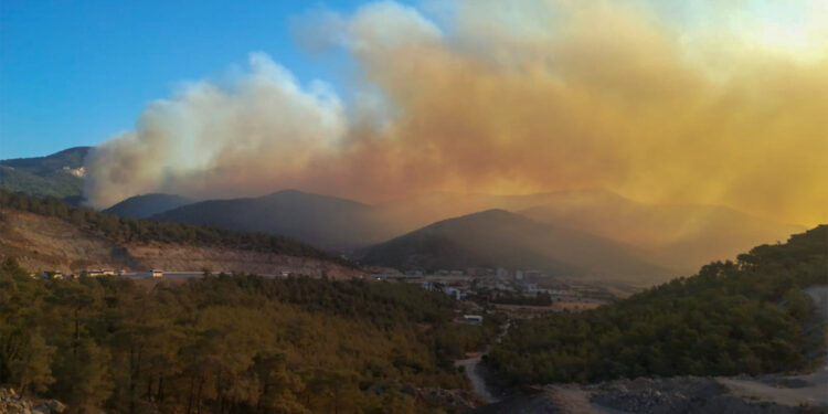 Mersin’de orman yangını: 30 ev boşaltıldı