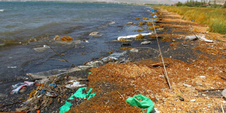 ‘Van Gölü her geçen gün öldürülüyor’