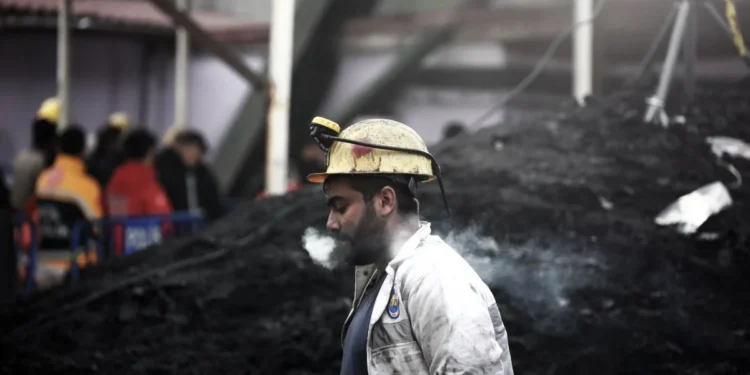 Sancar: Bu sistemde ekmek pahalı, can ucuz