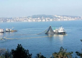 Endüstriyel balıkçılık okyanuslar dahil denizlerde balık soykırımına yol açıyor. İstanbul Boğazı'nda ise balık soykırımına izin vermek yok oluşa sürüeklenen Marmara için topyekun katliam anlamına geliyor.