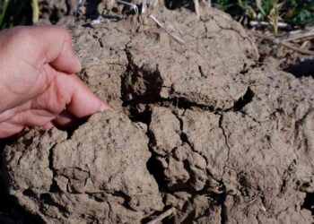 Trakya'da toprağın susuzluk nedeniyle taşlaşmaya başladığını söyleyen çiftçiler susz tarım hazırlanırken bundan da umutları pek yok.