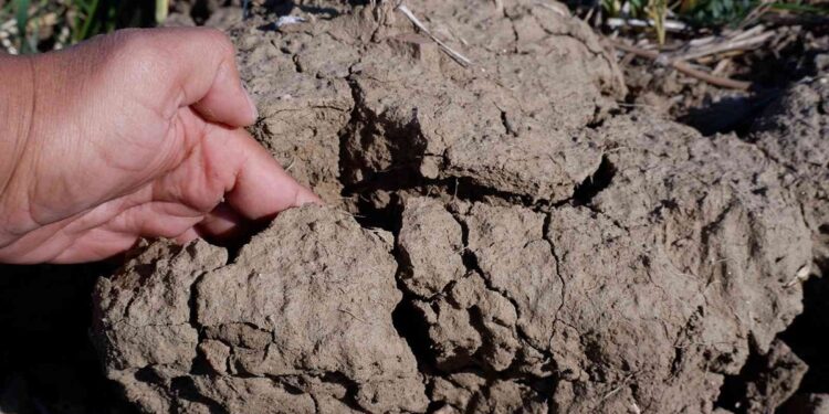 Trakya’da yağış yok, topraklar çoraklaşıyor!