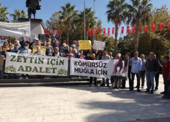 Akbelen Ormanı ve İkizköy zeytinlerini korumak amacıyla yurttaş direnişi kararlı bir biçimde sürüyor.