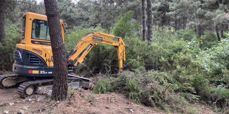 Aydos Ormanı’nda doğa katliamı sürüyor