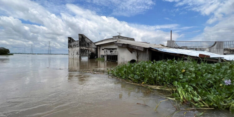 Nijerya’da sel nedeniyle 600’ü aşkın kişi hayatını kaybetti