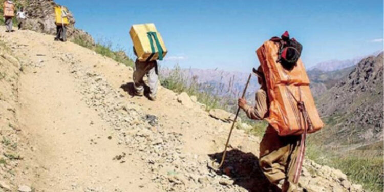 Bir ayda 31 kolber katledildi