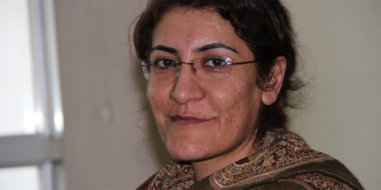 Jineoloji Dergisi’nden kadın hareketlerine Akarsel çağrısı