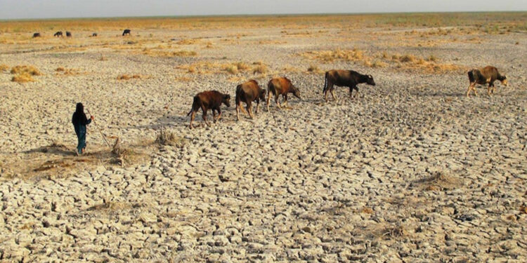 Irak’ta 1200 aile kuraklıktan göç etti!