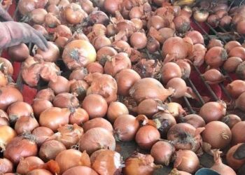 Kuru soğan bile azalacak!