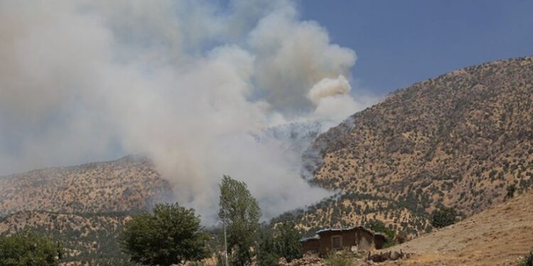 JinNews sordu OPCW ‘izliyoruz’ dedi!