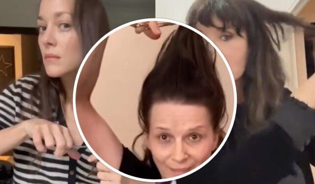 Fransız sanatçılardan destek