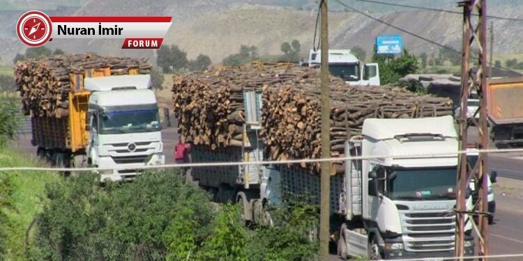 Botan’da yüzyıllık savaş konseptinden doğa soykırımına