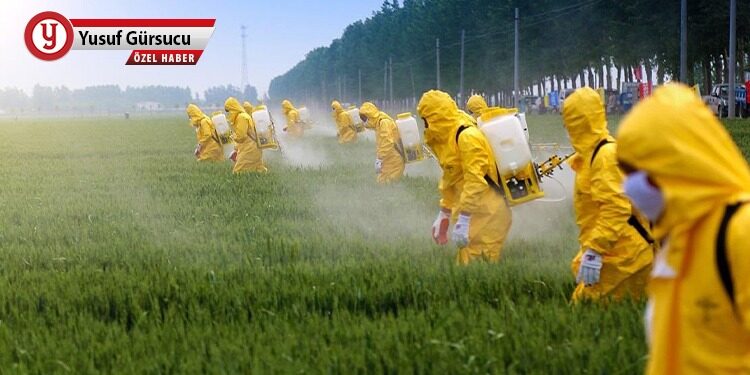 GDO’lu tohumla tarım hazırlığı