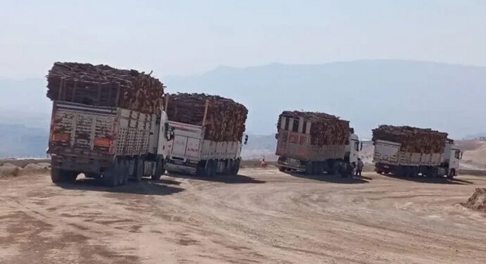 Askeriyeden köylülere: ‘Besta’da tek bir ağaç kalmayacak’
