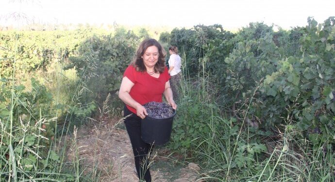 Bismil Belediye Eşbaşkanı Özer’e 30 yıl hapis istendi