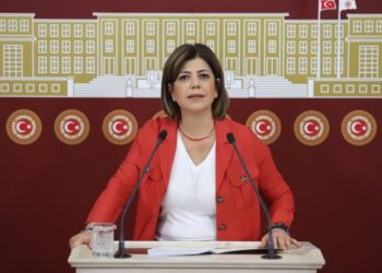 Beştaş: Erdoğan’ın Diyarbakır mitingi iyi bir turizm faaliyeti oldu