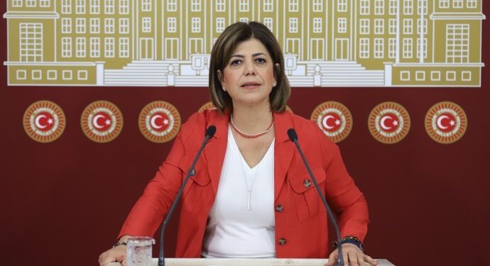 Beştaş: Erdoğan’ın Diyarbakır mitingi iyi bir turizm faaliyeti oldu