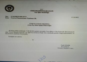 Cizre’de devlet kurumları ‘festival’ için seferber oldu