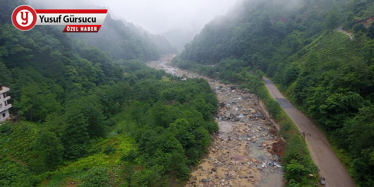 Su yoksa hayat yok, kapitalizm varsa su yok!