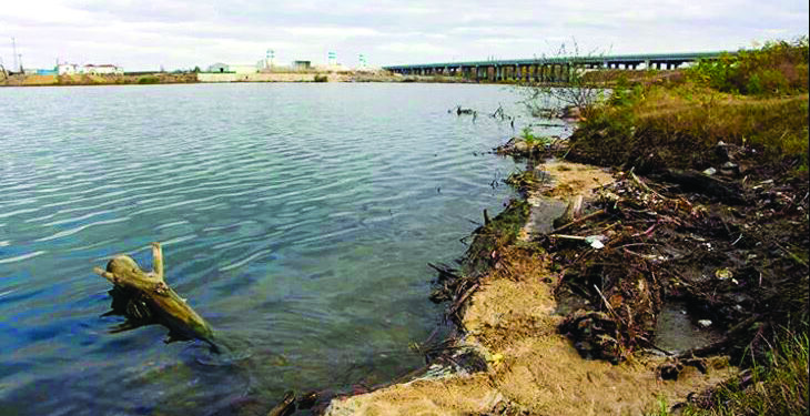 Ergene’den sonra Meriç de zehir akıyor