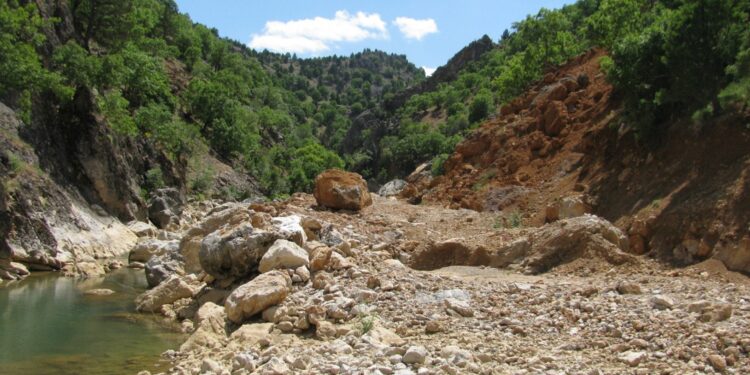 Görele’yi yok edecek karar