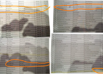 Halkın paraları dürüm ayrana, inci kefaline gitmiş!