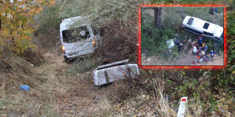 Turdan dönen minibüs şarampole uçtu