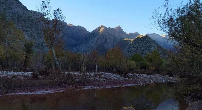 Operasyon bölgesinde çobanlara işkence
