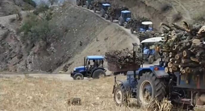 Cudî’de 7 alanda orman kıyımı