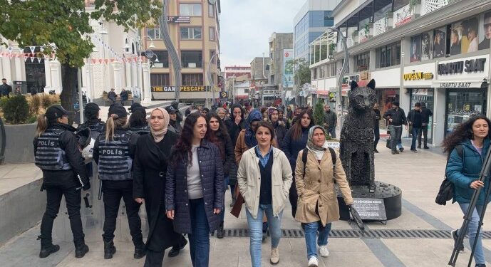 25 Kasım’a giderken: Wan ve Mersin’de kadınlardan çağrı