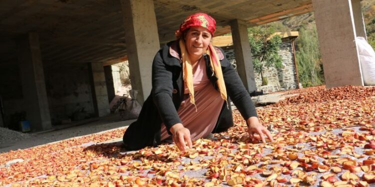 Ev emekçisi Dündar: Elde avuçta bir şey kalmadı!