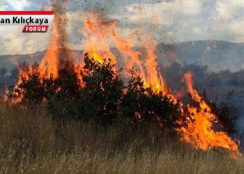 Doğanın mahşerine yakalanmadan vicdanlarımızı hareketlendirelim