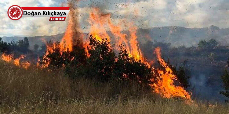 Doğanın mahşerine yakalanmadan vicdanlarımızı hareketlendirelim