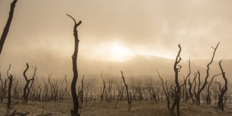 BM raporu: Türkiye, İklim Değişikliği Endeksi’nde 6 sıra geriledi