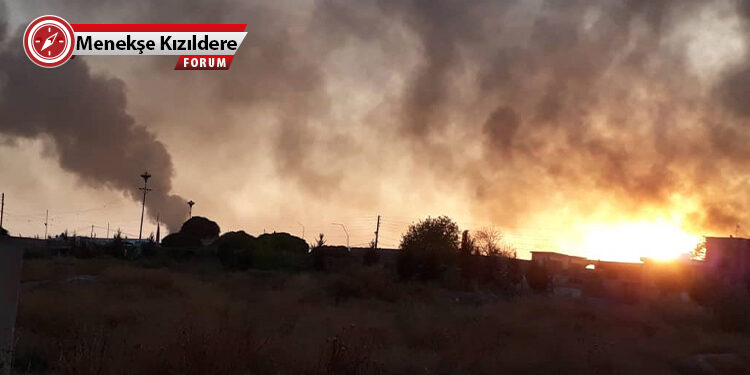 Savaş sonrasında ekolojik yeni yaşam inşası