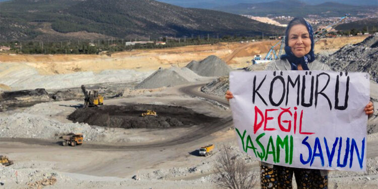 Ekolojik sömürgecilik: Nefes alamadıktan sonra para ne işe yarar?