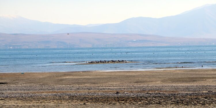 Van Gölü’nde 61 milyon metreküp su buhar oldu