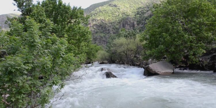 Yargı köylüyü haklı buldu