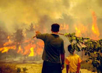 Oksijen deposu olarak bilinen Kazdağları'nda altın madeni aramasından sonra yaşanan tahribat.