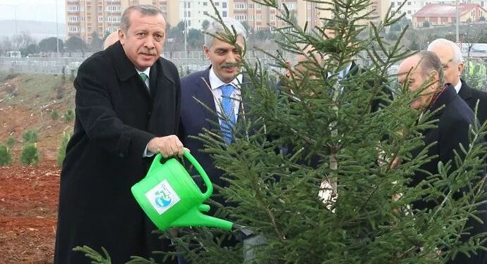 AKP’nin fidanları ormana dönüşmüyor