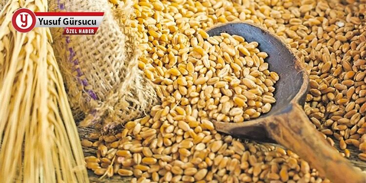 Buğdayda düşüş, açlıkta artış