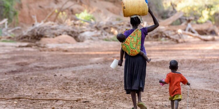 Önlem alınmazsa açlık artacak