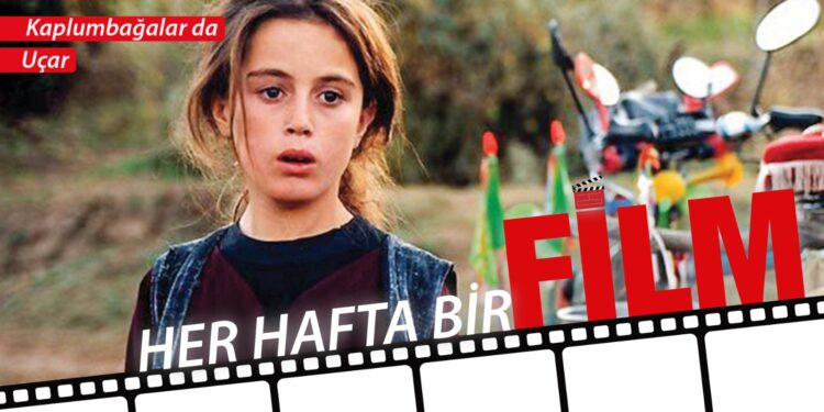 Her Hafta Bir Film: Kaplumbağalar da Uçar