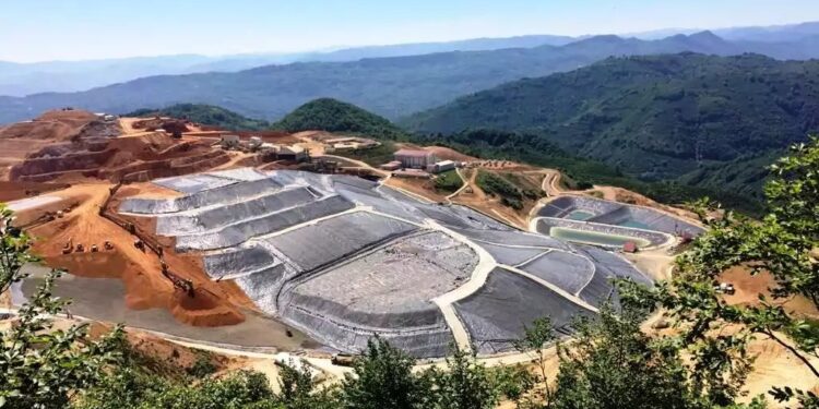 Ekoloji mücadelesi kazanırsa insanlık kazanacak