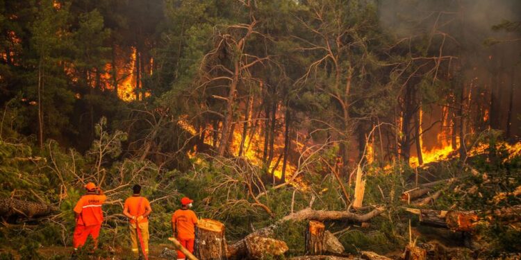 Yangın bahane ‘rant’ şahane!