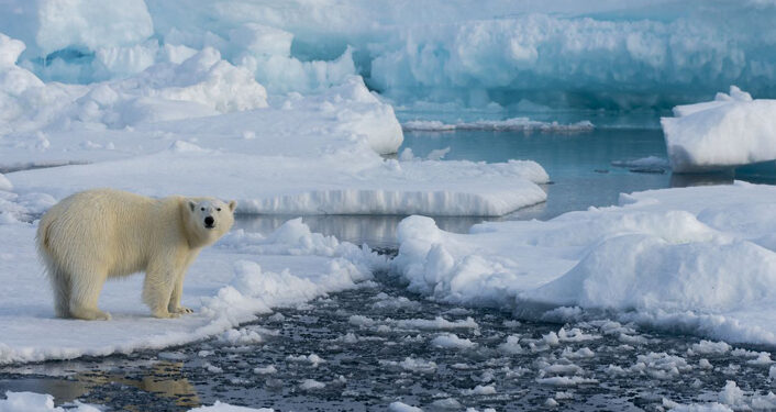 Buzullar 2050’den sonra yok olacak