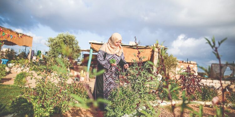 İklim değişikliği ve Gazzeli kadın tarım işçileri