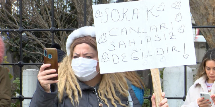 Beşiktaş’ta hayvan cinayetleri protesto edildi