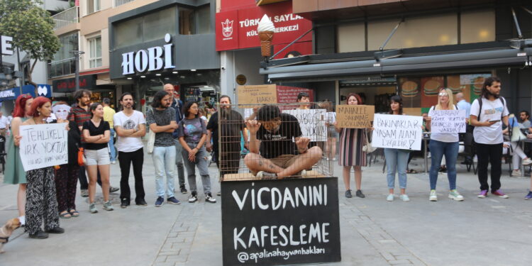 Cezasızlık şiddeti tetikliyor